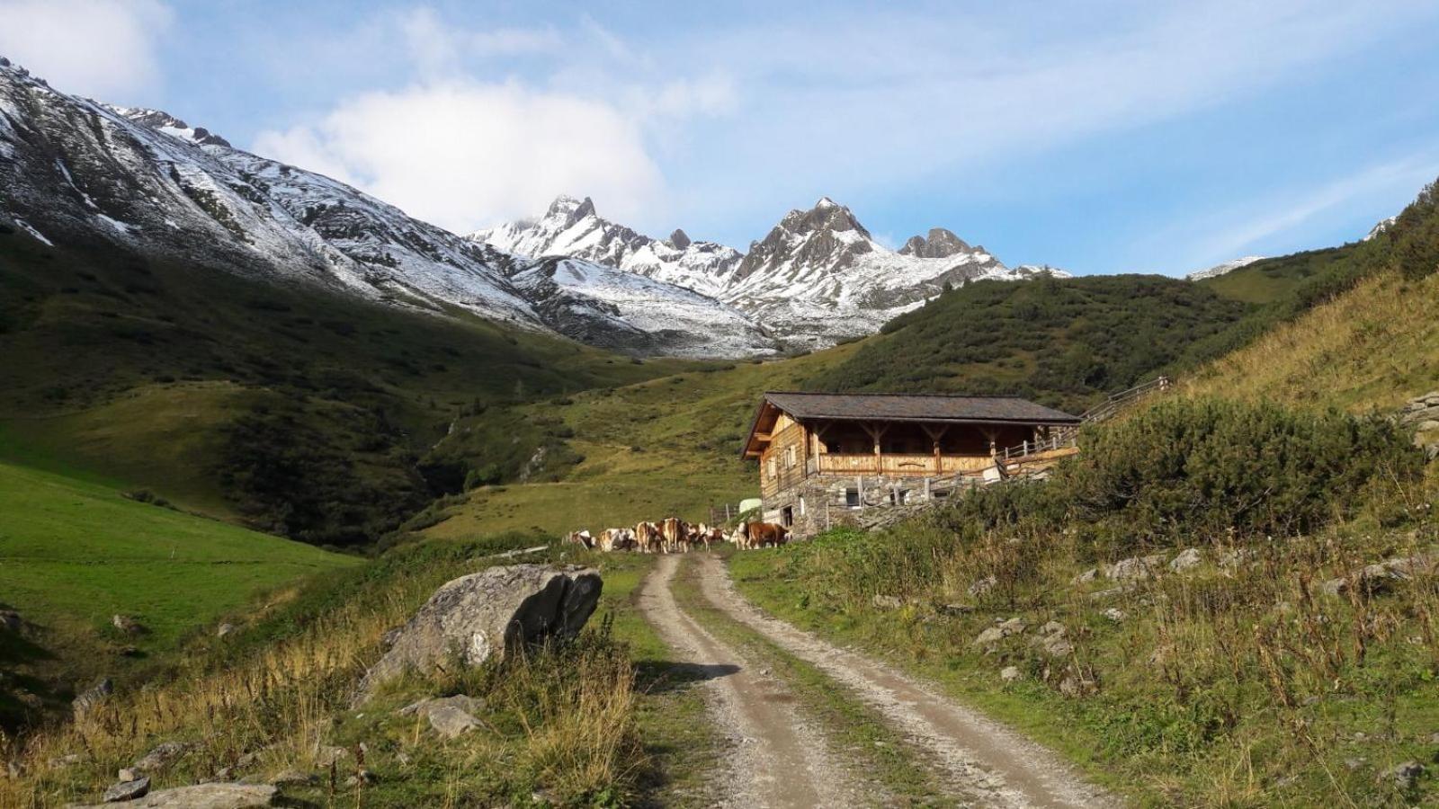 Mooserhof Campo Tures Kültér fotó