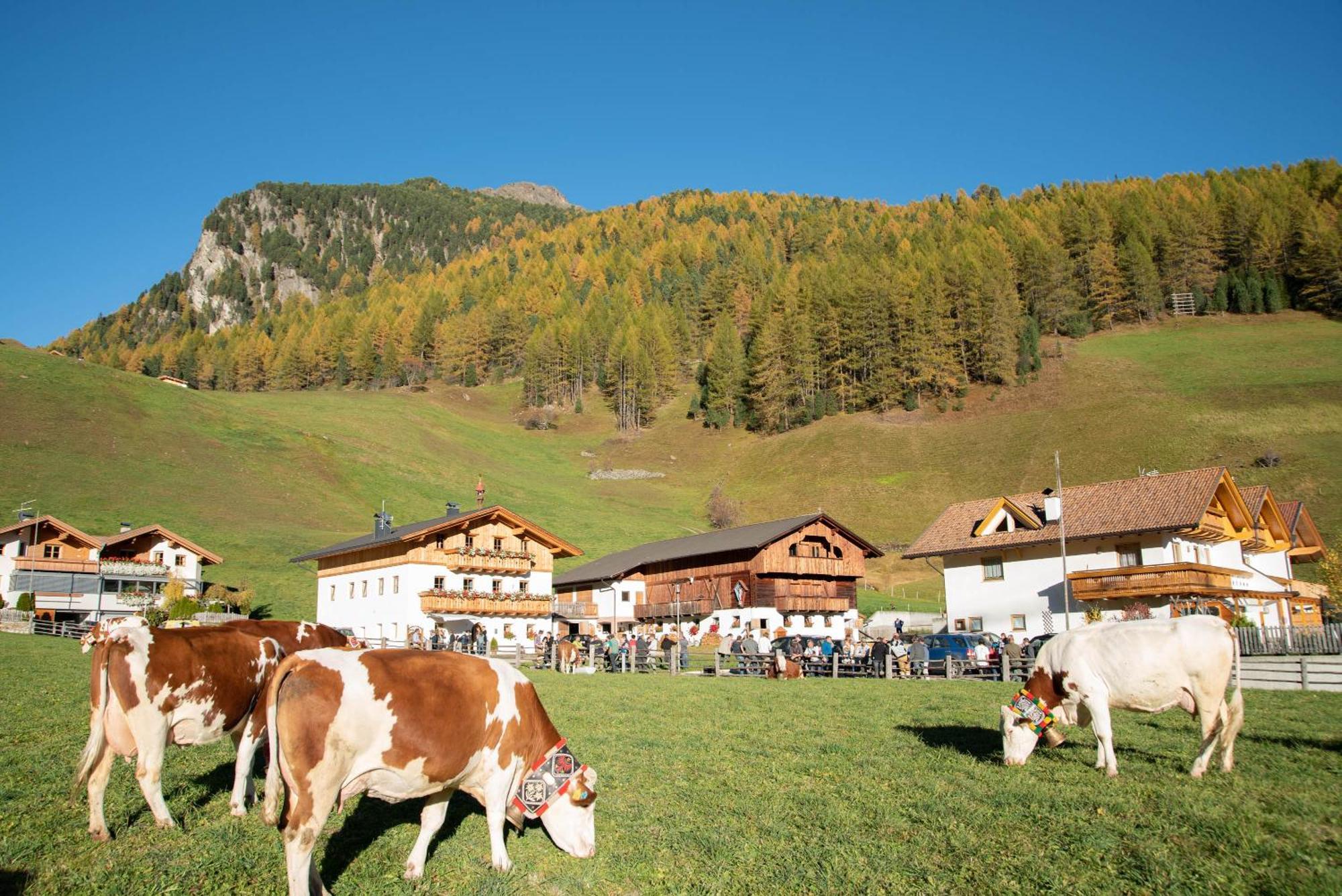 Mooserhof Campo Tures Kültér fotó